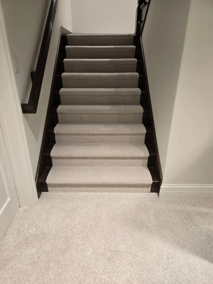 Carpet flooring options